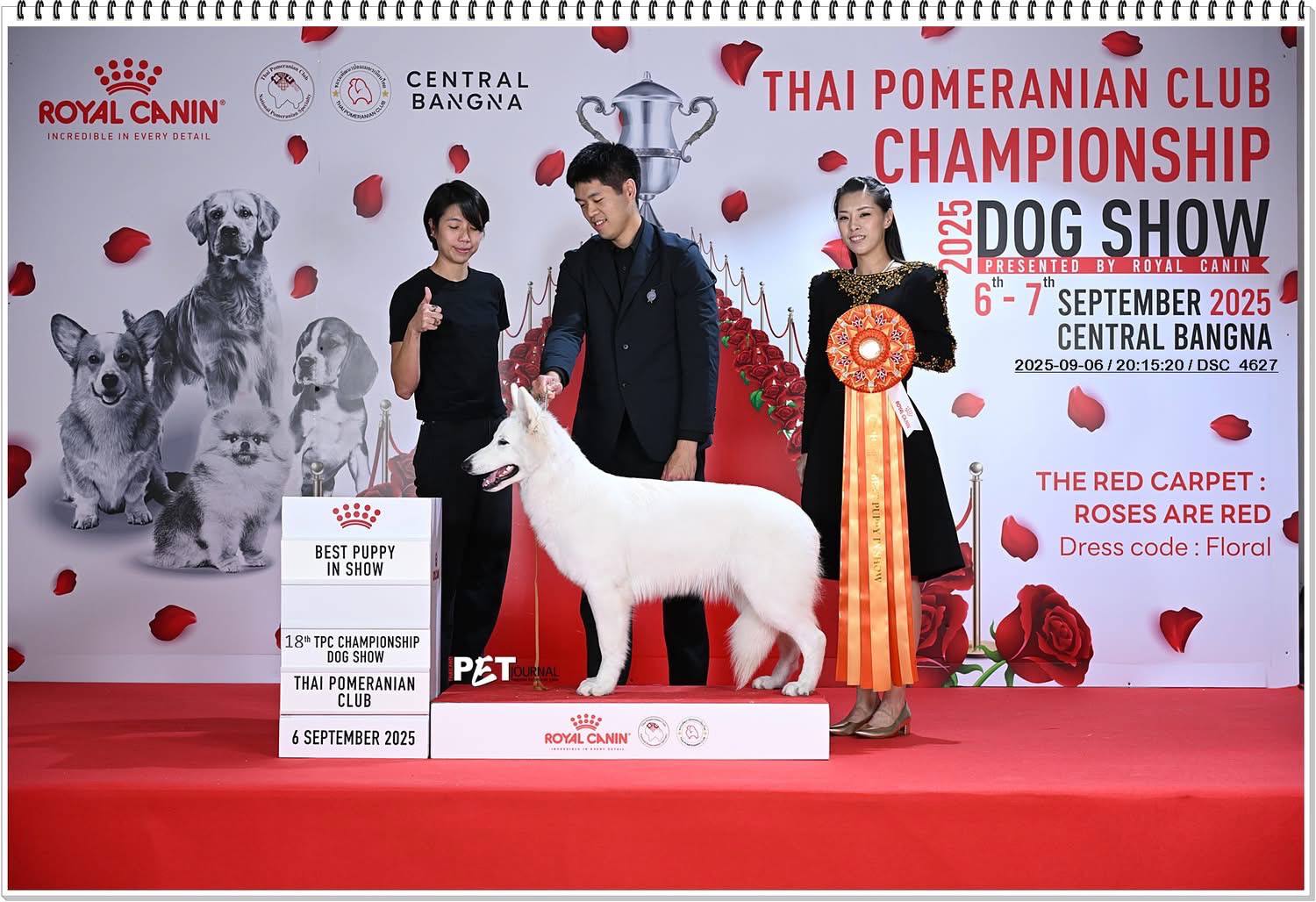 ครอก ภาพถ่ายผู้ใหญ่ 1