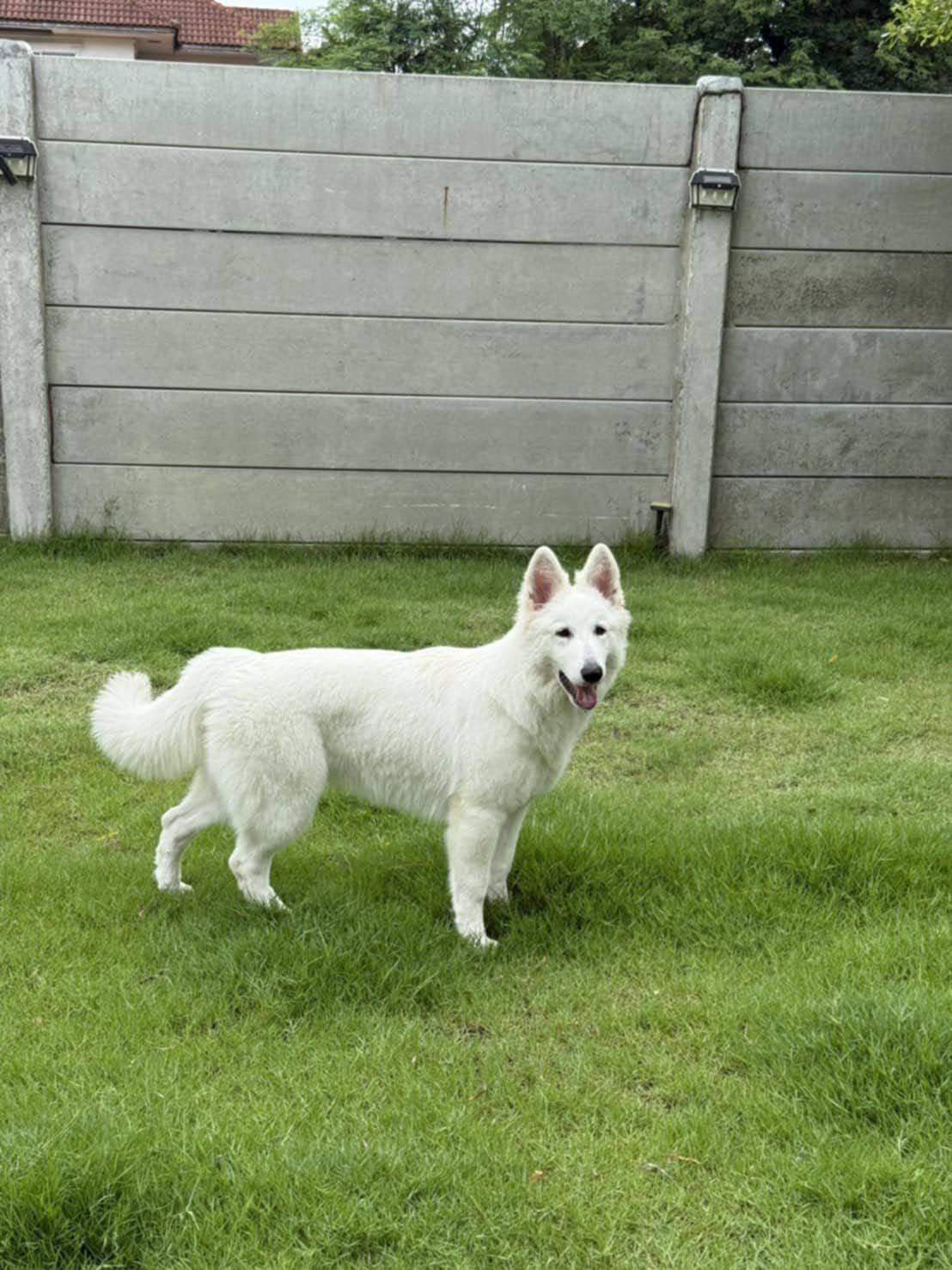 ครอก ภาพถ่ายผู้ใหญ่ 5